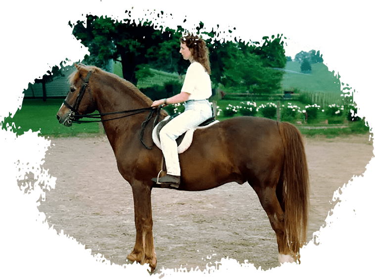 A girl is riding on the back of a horse.