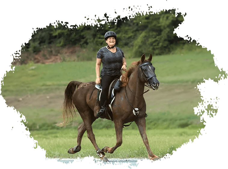 A woman riding on the back of a brown horse.