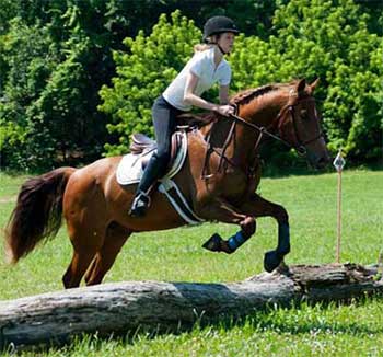A person riding on the back of a brown horse.