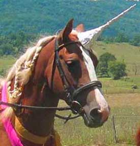 A horse with a unicorn horn on its head.