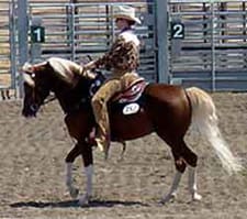 A person riding on the back of a horse.