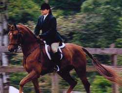 A woman riding on the back of a brown horse.